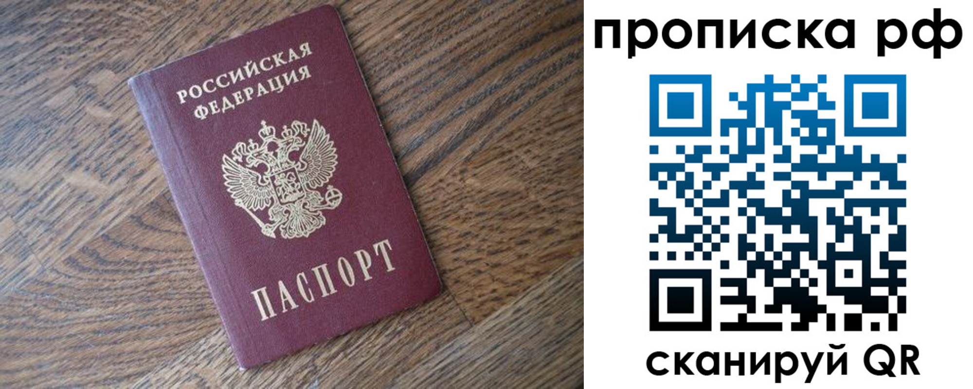 прописка поиск в Вологодской области